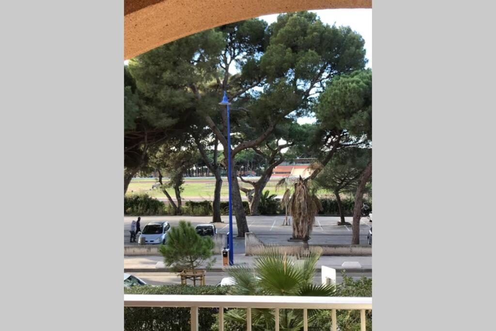 Appartement Climatise Avec Wifi Au Calme Sur Le Port.